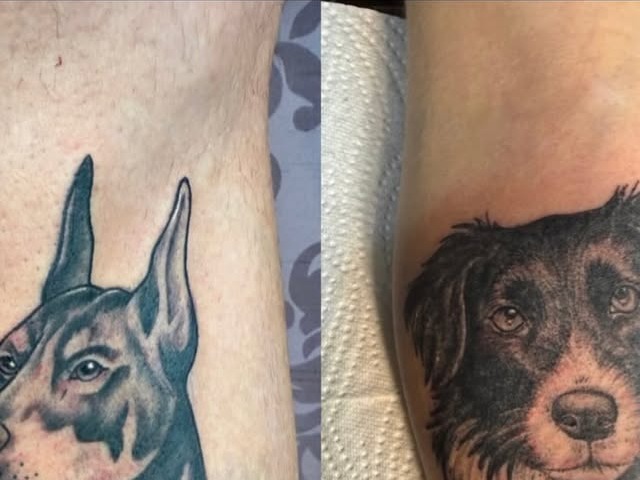 Tattoo-Arbeit: zwei Hunde-Portraits, gestochen in der Tattoo Kajüte Flensburg